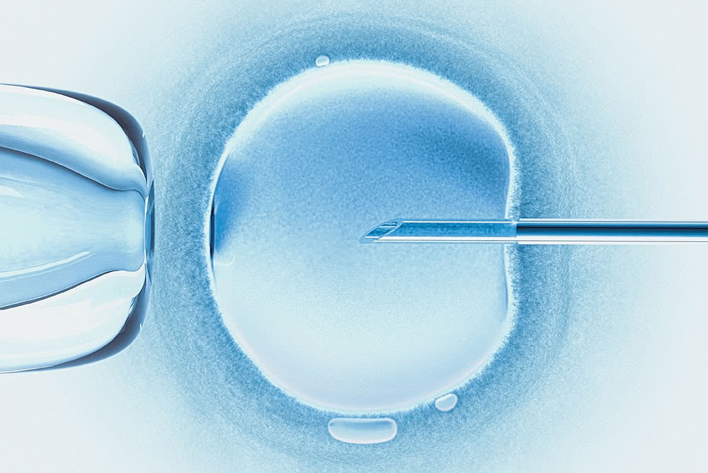 Embryo Donation Treatment