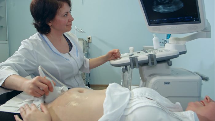 schwangerschaftsrechner befruchtung